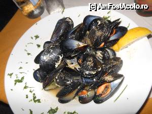 [P12] Cozze - specialitatea bucatarului, Perast » foto by mh_iulia
 - 
<span class="allrVoted glyphicon glyphicon-heart hidden" id="av460920"></span>
<a class="m-l-10 hidden" id="sv460920" onclick="voting_Foto_DelVot(,460920,1103)" role="button">șterge vot <span class="glyphicon glyphicon-remove"></span></a>
<a id="v9460920" class=" c-red"  onclick="voting_Foto_SetVot(460920)" role="button"><span class="glyphicon glyphicon-heart-empty"></span> <b>LIKE</b> = Votează poza</a> <img class="hidden"  id="f460920W9" src="/imagini/loader.gif" border="0" /><span class="AjErrMes hidden" id="e460920ErM"></span>
