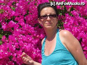 [P10] Imi plac mult acesti arbusti, mai ales ca am observat ca seara in absenta soarelui isi schimba culoarea » foto by elena_iasi
 - 
<span class="allrVoted glyphicon glyphicon-heart hidden" id="av443855"></span>
<a class="m-l-10 hidden" id="sv443855" onclick="voting_Foto_DelVot(,443855,1121)" role="button">șterge vot <span class="glyphicon glyphicon-remove"></span></a>
<a id="v9443855" class=" c-red"  onclick="voting_Foto_SetVot(443855)" role="button"><span class="glyphicon glyphicon-heart-empty"></span> <b>LIKE</b> = Votează poza</a> <img class="hidden"  id="f443855W9" src="/imagini/loader.gif" border="0" /><span class="AjErrMes hidden" id="e443855ErM"></span>