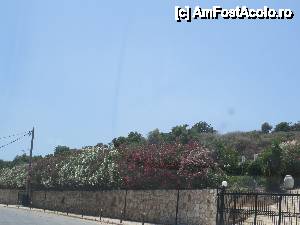 [P15] In Skala » foto by elena_iasi
 - 
<span class="allrVoted glyphicon glyphicon-heart hidden" id="av443864"></span>
<a class="m-l-10 hidden" id="sv443864" onclick="voting_Foto_DelVot(,443864,1121)" role="button">șterge vot <span class="glyphicon glyphicon-remove"></span></a>
<a id="v9443864" class=" c-red"  onclick="voting_Foto_SetVot(443864)" role="button"><span class="glyphicon glyphicon-heart-empty"></span> <b>LIKE</b> = Votează poza</a> <img class="hidden"  id="f443864W9" src="/imagini/loader.gif" border="0" /><span class="AjErrMes hidden" id="e443864ErM"></span>