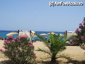 [P16] Plaja din Skala » foto by elena_iasi
 - 
<span class="allrVoted glyphicon glyphicon-heart hidden" id="av443865"></span>
<a class="m-l-10 hidden" id="sv443865" onclick="voting_Foto_DelVot(,443865,1121)" role="button">șterge vot <span class="glyphicon glyphicon-remove"></span></a>
<a id="v9443865" class=" c-red"  onclick="voting_Foto_SetVot(443865)" role="button"><span class="glyphicon glyphicon-heart-empty"></span> <b>LIKE</b> = Votează poza</a> <img class="hidden"  id="f443865W9" src="/imagini/loader.gif" border="0" /><span class="AjErrMes hidden" id="e443865ErM"></span>