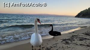 [P06] Koukounaries, Skiathos » foto by vlado2
 - 
<span class="allrVoted glyphicon glyphicon-heart hidden" id="av1520332"></span>
<a class="m-l-10 hidden" id="sv1520332" onclick="voting_Foto_DelVot(,1520332,1166)" role="button">șterge vot <span class="glyphicon glyphicon-remove"></span></a>
<a id="v91520332" class=" c-red"  onclick="voting_Foto_SetVot(1520332)" role="button"><span class="glyphicon glyphicon-heart-empty"></span> <b>LIKE</b> = Votează poza</a> <img class="hidden"  id="f1520332W9" src="/imagini/loader.gif" border="0" /><span class="AjErrMes hidden" id="e1520332ErM"></span>