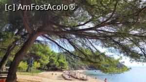 [P02] Plaja Banana Mare, Skiathos » foto by vlado2
 - 
<span class="allrVoted glyphicon glyphicon-heart hidden" id="av1521972"></span>
<a class="m-l-10 hidden" id="sv1521972" onclick="voting_Foto_DelVot(,1521972,1166)" role="button">șterge vot <span class="glyphicon glyphicon-remove"></span></a>
<a id="v91521972" class=" c-red"  onclick="voting_Foto_SetVot(1521972)" role="button"><span class="glyphicon glyphicon-heart-empty"></span> <b>LIKE</b> = Votează poza</a> <img class="hidden"  id="f1521972W9" src="/imagini/loader.gif" border="0" /><span class="AjErrMes hidden" id="e1521972ErM"></span>