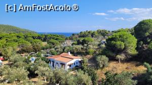 [P07] Vilele de la Hotel Elivi, Skiathos » foto by vlado2
 - 
<span class="allrVoted glyphicon glyphicon-heart hidden" id="av1521977"></span>
<a class="m-l-10 hidden" id="sv1521977" onclick="voting_Foto_DelVot(,1521977,1166)" role="button">șterge vot <span class="glyphicon glyphicon-remove"></span></a>
<a id="v91521977" class=" c-red"  onclick="voting_Foto_SetVot(1521977)" role="button"><span class="glyphicon glyphicon-heart-empty"></span> <b>LIKE</b> = Votează poza</a> <img class="hidden"  id="f1521977W9" src="/imagini/loader.gif" border="0" /><span class="AjErrMes hidden" id="e1521977ErM"></span>