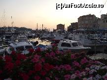 [P15]  -- <small>// FĂRĂ DESCRIERE</small> » foto by Cristian_h
 - 
<span class="allrVoted glyphicon glyphicon-heart hidden" id="av273780"></span>
<a class="m-l-10 hidden" id="sv273780" onclick="voting_Foto_DelVot(,273780,1168)" role="button">șterge vot <span class="glyphicon glyphicon-remove"></span></a>
<a id="v9273780" class=" c-red"  onclick="voting_Foto_SetVot(273780)" role="button"><span class="glyphicon glyphicon-heart-empty"></span> <b>LIKE</b> = Votează poza</a> <img class="hidden"  id="f273780W9" src="/imagini/loader.gif" border="0" /><span class="AjErrMes hidden" id="e273780ErM"></span>