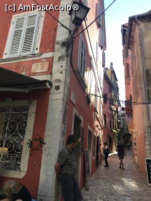 [P26] Rovinj, prin labirintul mușuroiului » foto by krisstinna
 - 
<span class="allrVoted glyphicon glyphicon-heart hidden" id="av1037345"></span>
<a class="m-l-10 hidden" id="sv1037345" onclick="voting_Foto_DelVot(,1037345,1168)" role="button">șterge vot <span class="glyphicon glyphicon-remove"></span></a>
<a id="v91037345" class=" c-red"  onclick="voting_Foto_SetVot(1037345)" role="button"><span class="glyphicon glyphicon-heart-empty"></span> <b>LIKE</b> = Votează poza</a> <img class="hidden"  id="f1037345W9" src="/imagini/loader.gif" border="0" /><span class="AjErrMes hidden" id="e1037345ErM"></span>