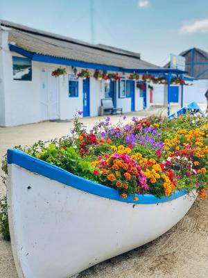 [P02] Simbolurile consacrate ale stațiunii, bărcile cu flori » foto by laurand <span class="label label-default labelC_thin small">NEVOTABILĂ</span>