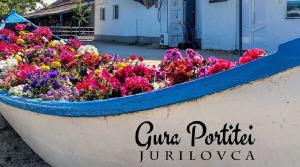 [P04] Bun venit floral » foto by laurand <span class="label label-default labelC_thin small">NEVOTABILĂ</span>