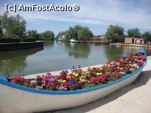 [P14] Ornamentele florale din apropierea recepției de la Gura Portiței ne îndeamnă să le fotografiem.  » foto by Floryn81
 - 
<span class="allrVoted glyphicon glyphicon-heart hidden" id="av863165"></span>
<a class="m-l-10 hidden" id="sv863165" onclick="voting_Foto_DelVot(,863165,1172)" role="button">șterge vot <span class="glyphicon glyphicon-remove"></span></a>
<a id="v9863165" class=" c-red"  onclick="voting_Foto_SetVot(863165)" role="button"><span class="glyphicon glyphicon-heart-empty"></span> <b>LIKE</b> = Votează poza</a> <img class="hidden"  id="f863165W9" src="/imagini/loader.gif" border="0" /><span class="AjErrMes hidden" id="e863165ErM"></span>