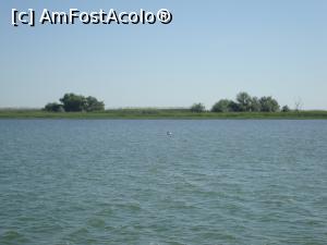 [P09] Pe apă, la oarecare depărtare, plutește un pelican. Am mai văzut vreo doi pelicani atunci când ne-am apropiat de destinația noastră.  » foto by Floryn81
 - 
<span class="allrVoted glyphicon glyphicon-heart hidden" id="av863160"></span>
<a class="m-l-10 hidden" id="sv863160" onclick="voting_Foto_DelVot(,863160,1172)" role="button">șterge vot <span class="glyphicon glyphicon-remove"></span></a>
<a id="v9863160" class=" c-red"  onclick="voting_Foto_SetVot(863160)" role="button"><span class="glyphicon glyphicon-heart-empty"></span> <b>LIKE</b> = Votează poza</a> <img class="hidden"  id="f863160W9" src="/imagini/loader.gif" border="0" /><span class="AjErrMes hidden" id="e863160ErM"></span>