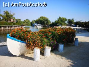 [P04] Decor în fața recepției » foto by crismis
 - 
<span class="allrVoted glyphicon glyphicon-heart hidden" id="av1137078"></span>
<a class="m-l-10 hidden" id="sv1137078" onclick="voting_Foto_DelVot(,1137078,1172)" role="button">șterge vot <span class="glyphicon glyphicon-remove"></span></a>
<a id="v91137078" class=" c-red"  onclick="voting_Foto_SetVot(1137078)" role="button"><span class="glyphicon glyphicon-heart-empty"></span> <b>LIKE</b> = Votează poza</a> <img class="hidden"  id="f1137078W9" src="/imagini/loader.gif" border="0" /><span class="AjErrMes hidden" id="e1137078ErM"></span>