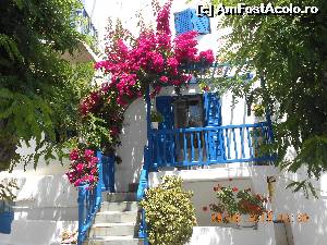 P08 [JUN-2015] Alb, albastru și flori de bougainvillea într-un decor de poveste. 