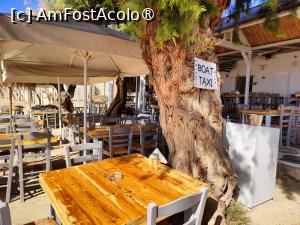 [P16] Taverna Tasos pe plaja Paraga » foto by crismis
 - 
<span class="allrVoted glyphicon glyphicon-heart hidden" id="av1426325"></span>
<a class="m-l-10 hidden" id="sv1426325" onclick="voting_Foto_DelVot(,1426325,1176)" role="button">șterge vot <span class="glyphicon glyphicon-remove"></span></a>
<a id="v91426325" class=" c-red"  onclick="voting_Foto_SetVot(1426325)" role="button"><span class="glyphicon glyphicon-heart-empty"></span> <b>LIKE</b> = Votează poza</a> <img class="hidden"  id="f1426325W9" src="/imagini/loader.gif" border="0" /><span class="AjErrMes hidden" id="e1426325ErM"></span>