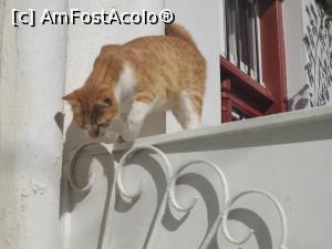 [P49] De ce ati inceput sedinta foto fara mine?  » foto by mogly
 - 
<span class="allrVoted glyphicon glyphicon-heart hidden" id="av797820"></span>
<a class="m-l-10 hidden" id="sv797820" onclick="voting_Foto_DelVot(,797820,1176)" role="button">șterge vot <span class="glyphicon glyphicon-remove"></span></a>
<a id="v9797820" class=" c-red"  onclick="voting_Foto_SetVot(797820)" role="button"><span class="glyphicon glyphicon-heart-empty"></span> <b>LIKE</b> = Votează poza</a> <img class="hidden"  id="f797820W9" src="/imagini/loader.gif" border="0" /><span class="AjErrMes hidden" id="e797820ErM"></span>