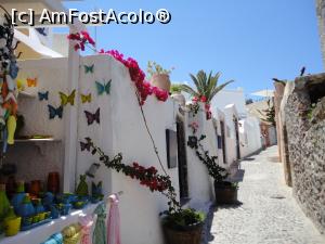 [P09] O superbă străduță în Oia.  » foto by maryka
 - 
<span class="allrVoted glyphicon glyphicon-heart hidden" id="av866229"></span>
<a class="m-l-10 hidden" id="sv866229" onclick="voting_Foto_DelVot(,866229,1177)" role="button">șterge vot <span class="glyphicon glyphicon-remove"></span></a>
<a id="v9866229" class=" c-red"  onclick="voting_Foto_SetVot(866229)" role="button"><span class="glyphicon glyphicon-heart-empty"></span> <b>LIKE</b> = Votează poza</a> <img class="hidden"  id="f866229W9" src="/imagini/loader.gif" border="0" /><span class="AjErrMes hidden" id="e866229ErM"></span>