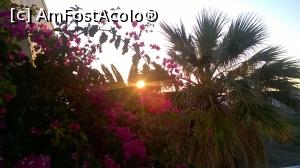 P05 [JUN-2017] Răsărit de soare, văzut din balcon, în Perivolos, printre flori. 