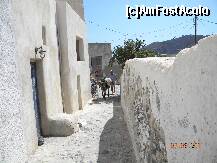 [P25] Magarus incarcat pe stradute in Pyrgos » foto by bitnic
 - 
<span class="allrVoted glyphicon glyphicon-heart hidden" id="av260367"></span>
<a class="m-l-10 hidden" id="sv260367" onclick="voting_Foto_DelVot(,260367,1177)" role="button">șterge vot <span class="glyphicon glyphicon-remove"></span></a>
<a id="v9260367" class=" c-red"  onclick="voting_Foto_SetVot(260367)" role="button"><span class="glyphicon glyphicon-heart-empty"></span> <b>LIKE</b> = Votează poza</a> <img class="hidden"  id="f260367W9" src="/imagini/loader.gif" border="0" /><span class="AjErrMes hidden" id="e260367ErM"></span>