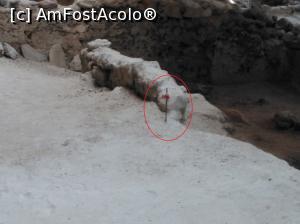 [P32] 32. O mică cruce semnalează locul decesului profesorului Marinatos.  » foto by msnd
 - 
<span class="allrVoted glyphicon glyphicon-heart hidden" id="av788604"></span>
<a class="m-l-10 hidden" id="sv788604" onclick="voting_Foto_DelVot(,788604,1177)" role="button">șterge vot <span class="glyphicon glyphicon-remove"></span></a>
<a id="v9788604" class=" c-red"  onclick="voting_Foto_SetVot(788604)" role="button"><span class="glyphicon glyphicon-heart-empty"></span> <b>LIKE</b> = Votează poza</a> <img class="hidden"  id="f788604W9" src="/imagini/loader.gif" border="0" /><span class="AjErrMes hidden" id="e788604ErM"></span>