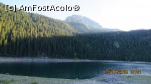 [P11] Lacul Negru-Zabljac (Crno Jezero)  » foto by Malko
 - 
<span class="allrVoted glyphicon glyphicon-heart hidden" id="av787856"></span>
<a class="m-l-10 hidden" id="sv787856" onclick="voting_Foto_DelVot(,787856,1202)" role="button">șterge vot <span class="glyphicon glyphicon-remove"></span></a>
<a id="v9787856" class=" c-red"  onclick="voting_Foto_SetVot(787856)" role="button"><span class="glyphicon glyphicon-heart-empty"></span> <b>LIKE</b> = Votează poza</a> <img class="hidden"  id="f787856W9" src="/imagini/loader.gif" border="0" /><span class="AjErrMes hidden" id="e787856ErM"></span>