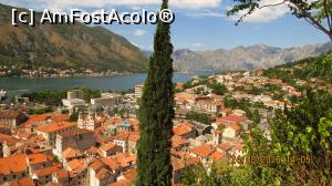 [P05] Kotor » foto by Malko
 - 
<span class="allrVoted glyphicon glyphicon-heart hidden" id="av787850"></span>
<a class="m-l-10 hidden" id="sv787850" onclick="voting_Foto_DelVot(,787850,1202)" role="button">șterge vot <span class="glyphicon glyphicon-remove"></span></a>
<a id="v9787850" class=" c-red"  onclick="voting_Foto_SetVot(787850)" role="button"><span class="glyphicon glyphicon-heart-empty"></span> <b>LIKE</b> = Votează poza</a> <img class="hidden"  id="f787850W9" src="/imagini/loader.gif" border="0" /><span class="AjErrMes hidden" id="e787850ErM"></span>