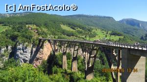 [P09] Canionul Tara » foto by Malko
 - 
<span class="allrVoted glyphicon glyphicon-heart hidden" id="av787854"></span>
<a class="m-l-10 hidden" id="sv787854" onclick="voting_Foto_DelVot(,787854,1202)" role="button">șterge vot <span class="glyphicon glyphicon-remove"></span></a>
<a id="v9787854" class=" c-red"  onclick="voting_Foto_SetVot(787854)" role="button"><span class="glyphicon glyphicon-heart-empty"></span> <b>LIKE</b> = Votează poza</a> <img class="hidden"  id="f787854W9" src="/imagini/loader.gif" border="0" /><span class="AjErrMes hidden" id="e787854ErM"></span>