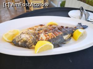 [P07] Monstrul din Preveza » foto by crismis
 - 
<span class="allrVoted glyphicon glyphicon-heart hidden" id="av1256643"></span>
<a class="m-l-10 hidden" id="sv1256643" onclick="voting_Foto_DelVot(,1256643,1227)" role="button">șterge vot <span class="glyphicon glyphicon-remove"></span></a>
<a id="v91256643" class=" c-red"  onclick="voting_Foto_SetVot(1256643)" role="button"><span class="glyphicon glyphicon-heart-empty"></span> <b>LIKE</b> = Votează poza</a> <img class="hidden"  id="f1256643W9" src="/imagini/loader.gif" border="0" /><span class="AjErrMes hidden" id="e1256643ErM"></span>