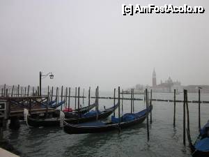 [P04] Gondole în faţa Pieţei San Marco » foto by ariciu*
 - 
<span class="allrVoted glyphicon glyphicon-heart hidden" id="av452275"></span>
<a class="m-l-10 hidden" id="sv452275" onclick="voting_Foto_DelVot(,452275,1229)" role="button">șterge vot <span class="glyphicon glyphicon-remove"></span></a>
<a id="v9452275" class=" c-red"  onclick="voting_Foto_SetVot(452275)" role="button"><span class="glyphicon glyphicon-heart-empty"></span> <b>LIKE</b> = Votează poza</a> <img class="hidden"  id="f452275W9" src="/imagini/loader.gif" border="0" /><span class="AjErrMes hidden" id="e452275ErM"></span>