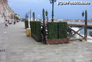 [P08] Venetia - curata » foto by csaszar78
 - 
<span class="allrVoted glyphicon glyphicon-heart hidden" id="av370134"></span>
<a class="m-l-10 hidden" id="sv370134" onclick="voting_Foto_DelVot(,370134,1229)" role="button">șterge vot <span class="glyphicon glyphicon-remove"></span></a>
<a id="v9370134" class=" c-red"  onclick="voting_Foto_SetVot(370134)" role="button"><span class="glyphicon glyphicon-heart-empty"></span> <b>LIKE</b> = Votează poza</a> <img class="hidden"  id="f370134W9" src="/imagini/loader.gif" border="0" /><span class="AjErrMes hidden" id="e370134ErM"></span>