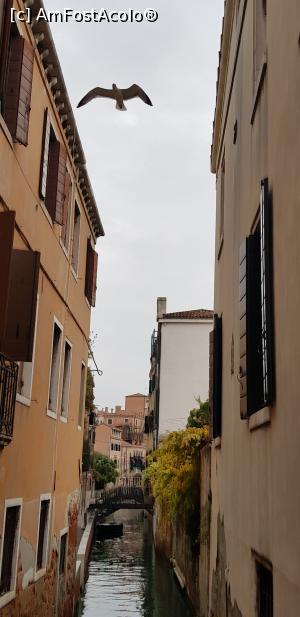 [P02]  -- <small>// FĂRĂ DESCRIERE</small> » foto by klarika
 - 
<span class="allrVoted glyphicon glyphicon-heart hidden" id="av1033670"></span>
<a class="m-l-10 hidden" id="sv1033670" onclick="voting_Foto_DelVot(,1033670,1229)" role="button">șterge vot <span class="glyphicon glyphicon-remove"></span></a>
<a id="v91033670" class=" c-red"  onclick="voting_Foto_SetVot(1033670)" role="button"><span class="glyphicon glyphicon-heart-empty"></span> <b>LIKE</b> = Votează poza</a> <img class="hidden"  id="f1033670W9" src="/imagini/loader.gif" border="0" /><span class="AjErrMes hidden" id="e1033670ErM"></span>