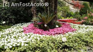 [P17] Gradina botanica de la Varone » foto by johnnybegoode
 - 
<span class="allrVoted glyphicon glyphicon-heart hidden" id="av993641"></span>
<a class="m-l-10 hidden" id="sv993641" onclick="voting_Foto_DelVot(,993641,1233)" role="button">șterge vot <span class="glyphicon glyphicon-remove"></span></a>
<a id="v9993641" class=" c-red"  onclick="voting_Foto_SetVot(993641)" role="button"><span class="glyphicon glyphicon-heart-empty"></span> <b>LIKE</b> = Votează poza</a> <img class="hidden"  id="f993641W9" src="/imagini/loader.gif" border="0" /><span class="AjErrMes hidden" id="e993641ErM"></span>