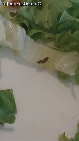 [P01] Larva asta am gasit o in salată la pranz » foto by CraiAndrei
 - 
<span class="allrVoted glyphicon glyphicon-heart hidden" id="av1068068"></span>
<a class="m-l-10 hidden" id="sv1068068" onclick="voting_Foto_DelVot(,1068068,1259)" role="button">șterge vot <span class="glyphicon glyphicon-remove"></span></a>
<a id="v91068068" class=" c-red"  onclick="voting_Foto_SetVot(1068068)" role="button"><span class="glyphicon glyphicon-heart-empty"></span> <b>LIKE</b> = Votează poza</a> <img class="hidden"  id="f1068068W9" src="/imagini/loader.gif" border="0" /><span class="AjErrMes hidden" id="e1068068ErM"></span>