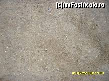 [P65] culoarea aurie a nisipului.  » foto by adryana
 - 
<span class="allrVoted glyphicon glyphicon-heart hidden" id="av419660"></span>
<a class="m-l-10 hidden" id="sv419660" onclick="voting_Foto_DelVot(,419660,1259)" role="button">șterge vot <span class="glyphicon glyphicon-remove"></span></a>
<a id="v9419660" class=" c-red"  onclick="voting_Foto_SetVot(419660)" role="button"><span class="glyphicon glyphicon-heart-empty"></span> <b>LIKE</b> = Votează poza</a> <img class="hidden"  id="f419660W9" src="/imagini/loader.gif" border="0" /><span class="AjErrMes hidden" id="e419660ErM"></span>