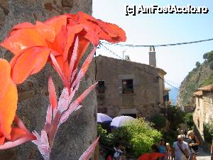 [P16] Terase amenajate în cetate.  » foto by Alina Roxana
 - 
<span class="allrVoted glyphicon glyphicon-heart hidden" id="av440413"></span>
<a class="m-l-10 hidden" id="sv440413" onclick="voting_Foto_DelVot(,440413,1270)" role="button">șterge vot <span class="glyphicon glyphicon-remove"></span></a>
<a id="v9440413" class=" c-red"  onclick="voting_Foto_SetVot(440413)" role="button"><span class="glyphicon glyphicon-heart-empty"></span> <b>LIKE</b> = Votează poza</a> <img class="hidden"  id="f440413W9" src="/imagini/loader.gif" border="0" /><span class="AjErrMes hidden" id="e440413ErM"></span>