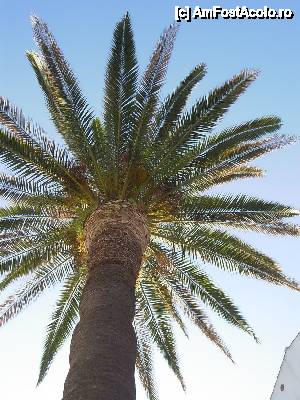 [P09]  -- <small>// FĂRĂ DESCRIERE</small> » foto by Alina Roxana
 - 
<span class="allrVoted glyphicon glyphicon-heart hidden" id="av440406"></span>
<a class="m-l-10 hidden" id="sv440406" onclick="voting_Foto_DelVot(,440406,1270)" role="button">șterge vot <span class="glyphicon glyphicon-remove"></span></a>
<a id="v9440406" class=" c-red"  onclick="voting_Foto_SetVot(440406)" role="button"><span class="glyphicon glyphicon-heart-empty"></span> <b>LIKE</b> = Votează poza</a> <img class="hidden"  id="f440406W9" src="/imagini/loader.gif" border="0" /><span class="AjErrMes hidden" id="e440406ErM"></span>