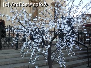 [P23] Un pomisor imbracat de Craciun!  » foto by plummy
 - 
<span class="allrVoted glyphicon glyphicon-heart hidden" id="av824676"></span>
<a class="m-l-10 hidden" id="sv824676" onclick="voting_Foto_DelVot(,824676,1275)" role="button">șterge vot <span class="glyphicon glyphicon-remove"></span></a>
<a id="v9824676" class=" c-red"  onclick="voting_Foto_SetVot(824676)" role="button"><span class="glyphicon glyphicon-heart-empty"></span> <b>LIKE</b> = Votează poza</a> <img class="hidden"  id="f824676W9" src="/imagini/loader.gif" border="0" /><span class="AjErrMes hidden" id="e824676ErM"></span>