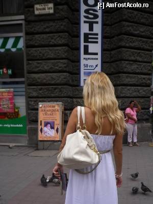 [P14]  -- <small>// FĂRĂ DESCRIERE</small> » foto by roxana.tomina
 - 
<span class="allrVoted glyphicon glyphicon-heart hidden" id="av356478"></span>
<a class="m-l-10 hidden" id="sv356478" onclick="voting_Foto_DelVot(,356478,1275)" role="button">șterge vot <span class="glyphicon glyphicon-remove"></span></a>
<a id="v9356478" class=" c-red"  onclick="voting_Foto_SetVot(356478)" role="button"><span class="glyphicon glyphicon-heart-empty"></span> <b>LIKE</b> = Votează poza</a> <img class="hidden"  id="f356478W9" src="/imagini/loader.gif" border="0" /><span class="AjErrMes hidden" id="e356478ErM"></span>