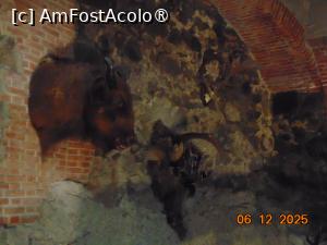 [P84]  -- <small>// FĂRĂ DESCRIERE</small> » foto by Yolanda
 - 
<span class="allrVoted glyphicon glyphicon-heart hidden" id="av1512039"></span>
<a class="m-l-10 hidden" id="sv1512039" onclick="voting_Foto_DelVot(,1512039,1275)" role="button">șterge vot <span class="glyphicon glyphicon-remove"></span></a>
<a id="v91512039" class=" c-red"  onclick="voting_Foto_SetVot(1512039)" role="button"><span class="glyphicon glyphicon-heart-empty"></span> <b>LIKE</b> = Votează poza</a> <img class="hidden"  id="f1512039W9" src="/imagini/loader.gif" border="0" /><span class="AjErrMes hidden" id="e1512039ErM"></span>