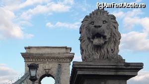 [P14] Szechenyi Chain Bridge » foto by Camelia19
 - 
<span class="allrVoted glyphicon glyphicon-heart hidden" id="av568859"></span>
<a class="m-l-10 hidden" id="sv568859" onclick="voting_Foto_DelVot(,568859,1275)" role="button">șterge vot <span class="glyphicon glyphicon-remove"></span></a>
<a id="v9568859" class=" c-red"  onclick="voting_Foto_SetVot(568859)" role="button"><span class="glyphicon glyphicon-heart-empty"></span> <b>LIKE</b> = Votează poza</a> <img class="hidden"  id="f568859W9" src="/imagini/loader.gif" border="0" /><span class="AjErrMes hidden" id="e568859ErM"></span>