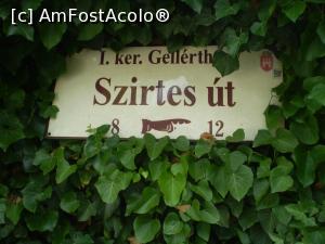 [P04] Szirtes ut. Este strada pe care se merge spre Citadela.  » foto by Mihai18
 - 
<span class="allrVoted glyphicon glyphicon-heart hidden" id="av752918"></span>
<a class="m-l-10 hidden" id="sv752918" onclick="voting_Foto_DelVot(,752918,1275)" role="button">șterge vot <span class="glyphicon glyphicon-remove"></span></a>
<a id="v9752918" class=" c-red"  onclick="voting_Foto_SetVot(752918)" role="button"><span class="glyphicon glyphicon-heart-empty"></span> <b>LIKE</b> = Votează poza</a> <img class="hidden"  id="f752918W9" src="/imagini/loader.gif" border="0" /><span class="AjErrMes hidden" id="e752918ErM"></span>