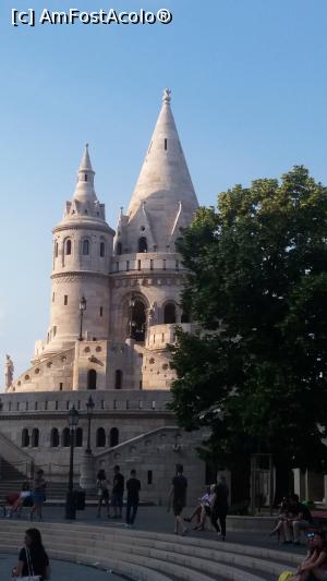 [P08]  -- <small>// FĂRĂ DESCRIERE</small> » foto by GCC
 - 
<span class="allrVoted glyphicon glyphicon-heart hidden" id="av969873"></span>
<a class="m-l-10 hidden" id="sv969873" onclick="voting_Foto_DelVot(,969873,1275)" role="button">șterge vot <span class="glyphicon glyphicon-remove"></span></a>
<a id="v9969873" class=" c-red"  onclick="voting_Foto_SetVot(969873)" role="button"><span class="glyphicon glyphicon-heart-empty"></span> <b>LIKE</b> = Votează poza</a> <img class="hidden"  id="f969873W9" src="/imagini/loader.gif" border="0" /><span class="AjErrMes hidden" id="e969873ErM"></span>