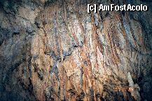 [P01] postojna » foto by mariana
 - 
<span class="allrVoted glyphicon glyphicon-heart hidden" id="av4754"></span>
<a class="m-l-10 hidden" id="sv4754" onclick="voting_Foto_DelVot(,4754,1382)" role="button">șterge vot <span class="glyphicon glyphicon-remove"></span></a>
<a id="v94754" class=" c-red"  onclick="voting_Foto_SetVot(4754)" role="button"><span class="glyphicon glyphicon-heart-empty"></span> <b>LIKE</b> = Votează poza</a> <img class="hidden"  id="f4754W9" src="/imagini/loader.gif" border="0" /><span class="AjErrMes hidden" id="e4754ErM"></span>