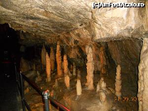 [P16] Slovenia - Pestera Postojna, grota cu pitici.  » foto by Diaura*
 - 
<span class="allrVoted glyphicon glyphicon-heart hidden" id="av394964"></span>
<a class="m-l-10 hidden" id="sv394964" onclick="voting_Foto_DelVot(,394964,1382)" role="button">șterge vot <span class="glyphicon glyphicon-remove"></span></a>
<a id="v9394964" class=" c-red"  onclick="voting_Foto_SetVot(394964)" role="button"><span class="glyphicon glyphicon-heart-empty"></span> <b>LIKE</b> = Votează poza</a> <img class="hidden"  id="f394964W9" src="/imagini/loader.gif" border="0" /><span class="AjErrMes hidden" id="e394964ErM"></span>