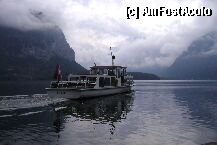 [P02]  -- <small>// FĂRĂ DESCRIERE</small> » foto by chrismo
 - 
<span class="allrVoted glyphicon glyphicon-heart hidden" id="av8698"></span>
<a class="m-l-10 hidden" id="sv8698" onclick="voting_Foto_DelVot(,8698,1383)" role="button">șterge vot <span class="glyphicon glyphicon-remove"></span></a>
<a id="v98698" class=" c-red"  onclick="voting_Foto_SetVot(8698)" role="button"><span class="glyphicon glyphicon-heart-empty"></span> <b>LIKE</b> = Votează poza</a> <img class="hidden"  id="f8698W9" src="/imagini/loader.gif" border="0" /><span class="AjErrMes hidden" id="e8698ErM"></span>