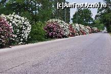 [P03] intrarea in Paralia Katerini » foto by aida_n
 - 
<span class="allrVoted glyphicon glyphicon-heart hidden" id="av187908"></span>
<a class="m-l-10 hidden" id="sv187908" onclick="voting_Foto_DelVot(,187908,1428)" role="button">șterge vot <span class="glyphicon glyphicon-remove"></span></a>
<a id="v9187908" class=" c-red"  onclick="voting_Foto_SetVot(187908)" role="button"><span class="glyphicon glyphicon-heart-empty"></span> <b>LIKE</b> = Votează poza</a> <img class="hidden"  id="f187908W9" src="/imagini/loader.gif" border="0" /><span class="AjErrMes hidden" id="e187908ErM"></span>