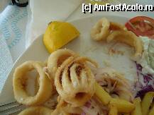 [P03] calamar la taverna lui vasilis » foto by mirelopodu*
 - 
<span class="allrVoted glyphicon glyphicon-heart hidden" id="av8298"></span>
<a class="m-l-10 hidden" id="sv8298" onclick="voting_Foto_DelVot(,8298,1428)" role="button">șterge vot <span class="glyphicon glyphicon-remove"></span></a>
<a id="v98298" class=" c-red"  onclick="voting_Foto_SetVot(8298)" role="button"><span class="glyphicon glyphicon-heart-empty"></span> <b>LIKE</b> = Votează poza</a> <img class="hidden"  id="f8298W9" src="/imagini/loader.gif" border="0" /><span class="AjErrMes hidden" id="e8298ErM"></span>