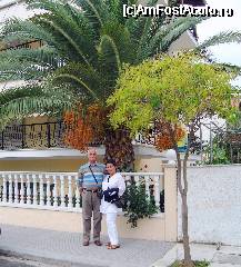 [P08] noi doi și-un .... palmier, în Nei Pori » foto by mirelopodu*
 - 
<span class="allrVoted glyphicon glyphicon-heart hidden" id="av27613"></span>
<a class="m-l-10 hidden" id="sv27613" onclick="voting_Foto_DelVot(,27613,1428)" role="button">șterge vot <span class="glyphicon glyphicon-remove"></span></a>
<a id="v927613" class=" c-red"  onclick="voting_Foto_SetVot(27613)" role="button"><span class="glyphicon glyphicon-heart-empty"></span> <b>LIKE</b> = Votează poza</a> <img class="hidden"  id="f27613W9" src="/imagini/loader.gif" border="0" /><span class="AjErrMes hidden" id="e27613ErM"></span>