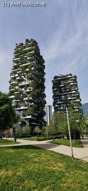 [P36] Bosco verticale » foto by ⭐ValentinB_88⭐
 - 
<span class="allrVoted glyphicon glyphicon-heart hidden" id="av1425964"></span>
<a class="m-l-10 hidden" id="sv1425964" onclick="voting_Foto_DelVot(,1425964,1493)" role="button">șterge vot <span class="glyphicon glyphicon-remove"></span></a>
<a id="v91425964" class=" c-red"  onclick="voting_Foto_SetVot(1425964)" role="button"><span class="glyphicon glyphicon-heart-empty"></span> <b>LIKE</b> = Votează poza</a> <img class="hidden"  id="f1425964W9" src="/imagini/loader.gif" border="0" /><span class="AjErrMes hidden" id="e1425964ErM"></span>