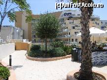 [P01] Hotel Intercontinental Malta-zona piscinei exterioare » foto by mariarosa
 - 
<span class="allrVoted glyphicon glyphicon-heart hidden" id="av96813"></span>
<a class="m-l-10 hidden" id="sv96813" onclick="voting_Foto_DelVot(,96813,1564)" role="button">șterge vot <span class="glyphicon glyphicon-remove"></span></a>
<a id="v996813" class=" c-red"  onclick="voting_Foto_SetVot(96813)" role="button"><span class="glyphicon glyphicon-heart-empty"></span> <b>LIKE</b> = Votează poza</a> <img class="hidden"  id="f96813W9" src="/imagini/loader.gif" border="0" /><span class="AjErrMes hidden" id="e96813ErM"></span>
