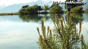 [P39] 2014-Lacul St. Apollinaire » foto by zuzi
 - 
<span class="allrVoted glyphicon glyphicon-heart hidden" id="av607967"></span>
<a class="m-l-10 hidden" id="sv607967" onclick="voting_Foto_DelVot(,607967,1573)" role="button">șterge vot <span class="glyphicon glyphicon-remove"></span></a>
<a id="v9607967" class=" c-red"  onclick="voting_Foto_SetVot(607967)" role="button"><span class="glyphicon glyphicon-heart-empty"></span> <b>LIKE</b> = Votează poza</a> <img class="hidden"  id="f607967W9" src="/imagini/loader.gif" border="0" /><span class="AjErrMes hidden" id="e607967ErM"></span>