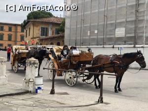 [P19] Pisa - in asteptarea clientilor » foto by mishu
 - 
<span class="allrVoted glyphicon glyphicon-heart hidden" id="av1292231"></span>
<a class="m-l-10 hidden" id="sv1292231" onclick="voting_Foto_DelVot(,1292231,1574)" role="button">șterge vot <span class="glyphicon glyphicon-remove"></span></a>
<a id="v91292231" class=" c-red"  onclick="voting_Foto_SetVot(1292231)" role="button"><span class="glyphicon glyphicon-heart-empty"></span> <b>LIKE</b> = Votează poza</a> <img class="hidden"  id="f1292231W9" src="/imagini/loader.gif" border="0" /><span class="AjErrMes hidden" id="e1292231ErM"></span>