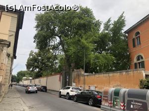 [P06] Pisa - ese destul de liniste pe aici » foto by mishu
 - 
<span class="allrVoted glyphicon glyphicon-heart hidden" id="av1292218"></span>
<a class="m-l-10 hidden" id="sv1292218" onclick="voting_Foto_DelVot(,1292218,1574)" role="button">șterge vot <span class="glyphicon glyphicon-remove"></span></a>
<a id="v91292218" class=" c-red"  onclick="voting_Foto_SetVot(1292218)" role="button"><span class="glyphicon glyphicon-heart-empty"></span> <b>LIKE</b> = Votează poza</a> <img class="hidden"  id="f1292218W9" src="/imagini/loader.gif" border="0" /><span class="AjErrMes hidden" id="e1292218ErM"></span>